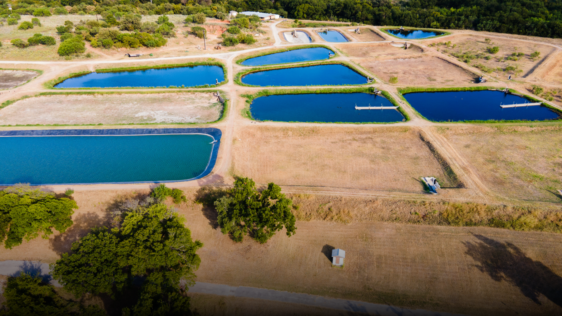 World Metrology Day: How Metrology Supports the Global Food System in a Changing Climate